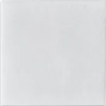 5fe4e7_260d89be0a2f4e03a1db60cf2be1e267~mv2