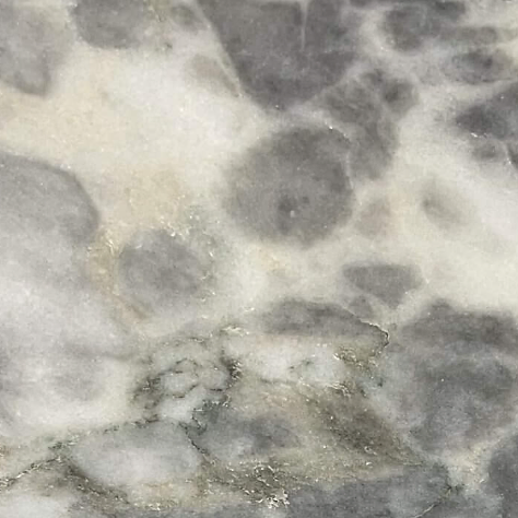 5fe4e7_c4a4e987ce4b459bb9c58fae130e91be~mv2