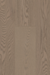 Camel  Oak