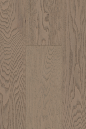 Camel  Oak