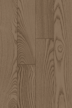 Arizona  Ash