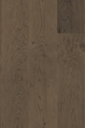 Shadow  Maple
