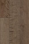 Komodo Birch