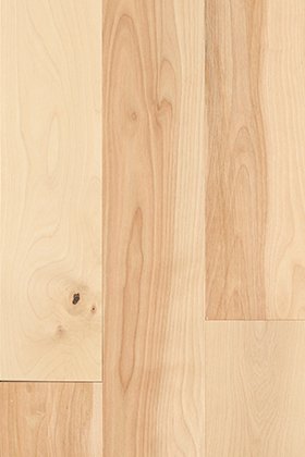 Raw Birch