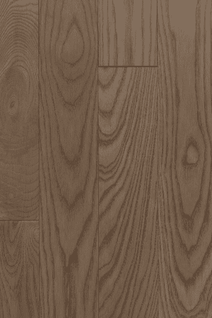 Havana  Ash