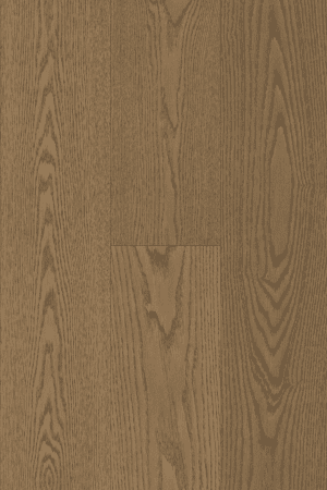 Chai  Oak