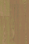 Mesa Oak