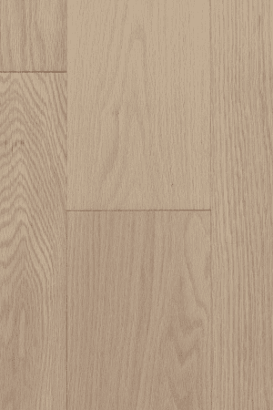 Blush  Oak