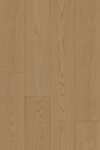 Dune  Oak