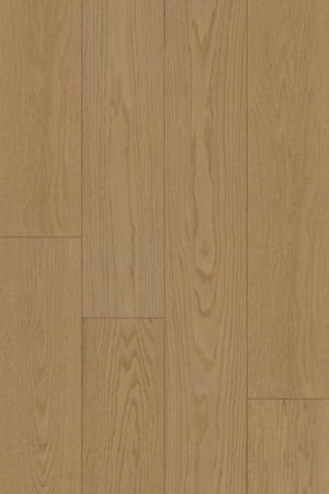 Dune  Oak