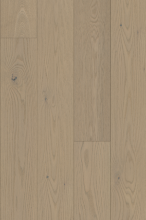 London  Oak