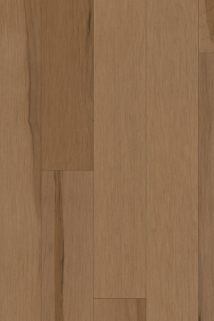 Terra  Maple