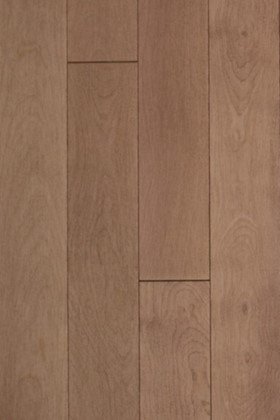Terra  Birch