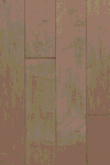 Arizona  Maple