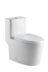 neptune-zen-toilet-wht-zoom